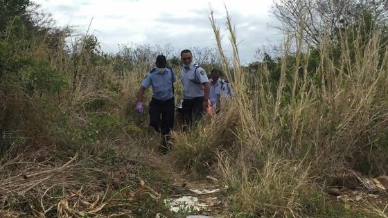 Corps démembré à Camp-Levieux : la tête retrouvée à 100 mètres du cadavre