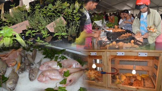 Salon de l’Agriculture : des bonnes affaires à la pelle