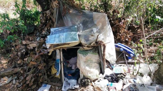 Auteur de divers vols dans le nord : un éboueur arrêté après trois semaines de cavale dans les bois