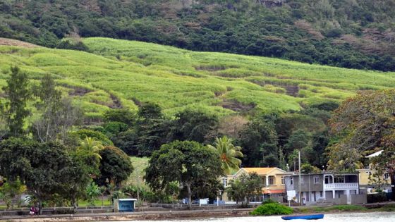 Bois-des-Amourettes : la dangerosité de la route côtière décriée