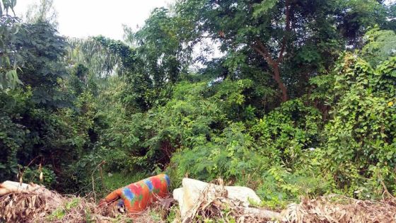 À travers villes et villages : le sempiternel problème des terrains abandonnés