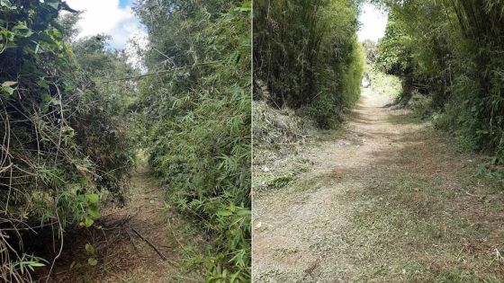 Bonne nouvelle - Les Casernes : le sentier menant au terrain de football nettoyé 