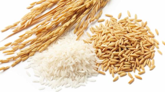 Les importations d’aliments s’élèvent à Rs 34,5 milliards en 2016