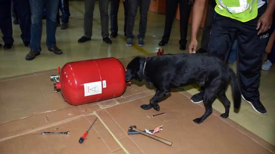 16 kg d’héroïne disparus : la seconde mission de Paul Lam Shang Leen