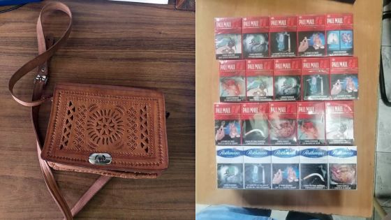 Dans le Nord : suspecté de cambriolage, un individu sous les verrous