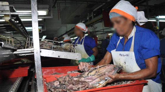 Propositions budgétaires : Business Mauritius plaide pour le démarrage rapide des projets