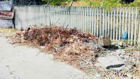 Problème de détritus bientôt résolu : lueur d’espoir pour les habitants de Vallée-Pitot