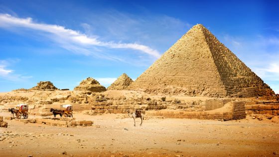 Égypte : une myriade de découvertes