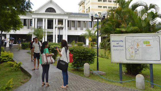 Enseignement supérieur : les grandes tendances des études universitaires 