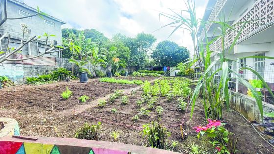 Universal College : 65 ans d’engagement éducatif et citoyen