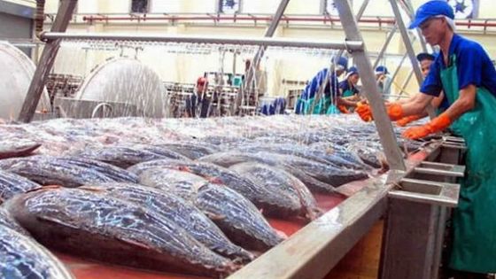 Prem Koonjoo : «Il y a une pénurie de thon, mais on n’est pas dans le rouge»