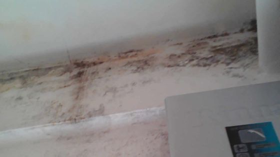 Chung, 52 ans : «Aidez-moi à trouver une maison à louer»