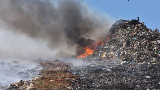 Mare-Chicose : une catastrophe écologique annoncée depuis plusieurs années 
