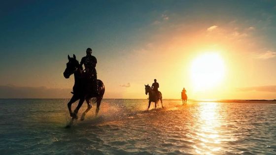 Loisirs - Centre équestre de Riambel : au galop !