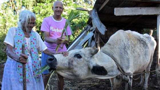 Bhoomawtee Palakdhari, 91 ans : «Lontan, lavi ti pli fasil»