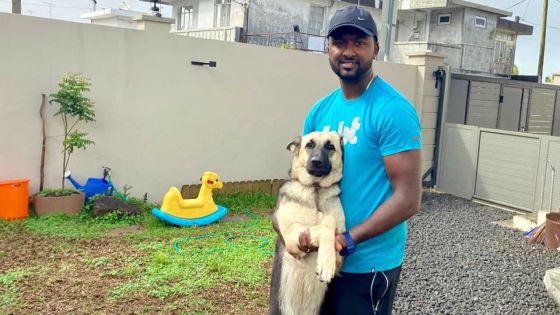 Gael Kalee : le sauveur des chiens errants ouvre une pension canine