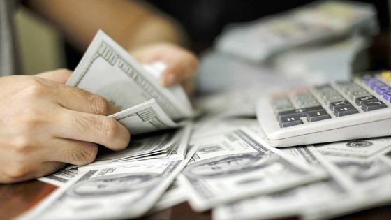 La roupie récupère 12,2 % face au yen, mais glisse de 5,7 % vis-à-vis du dollar 