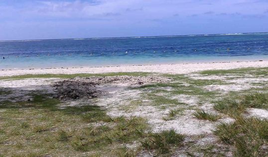 Palmar : une jeune femme meurt noyée 