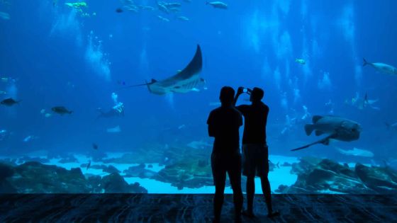 Hausse du taux de fréquentation : les affaires des parcs d’attractions boostées par les vacances