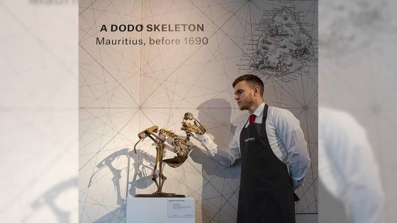 Le squelette du dodo vendu à Rs 21,7 M