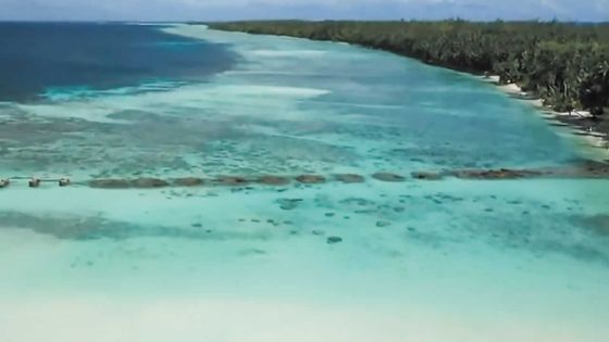 Réinventer l’habitat sans dénaturer : les Chagossiens face au défi du retour