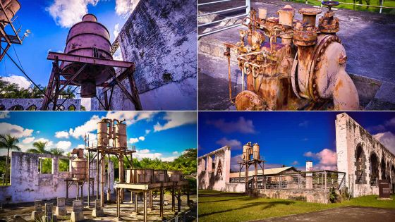 Découverte - Bel Ombre :  voyage dans un lieu  chargé d’histoire et de culture