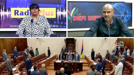 Parlement : la proposition d'une raffinerie de graphite à Mer Rouge au centre de la PNQ