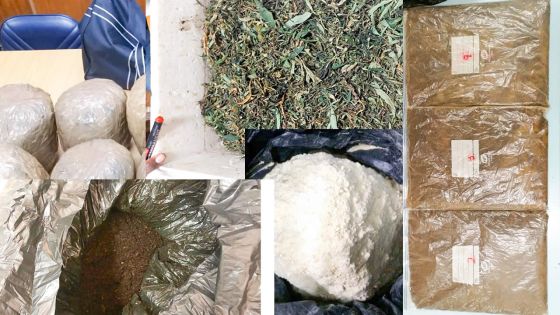 Zoom sur les saisies de drogues