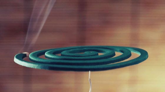 Produits anti-moustiques : les Vape préférés aux spirales fumantes