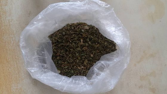 Trafic de cannabis : le pêcheur Arnold tombe dans les filets de l’Adsu