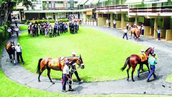 Lien trafic de drogue / hippisme : l’Icac sur la piste des nouveaux riches du Champ-de-Mars