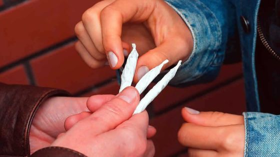 Drogue en milieu scolaire : un rajeunissement alarmant