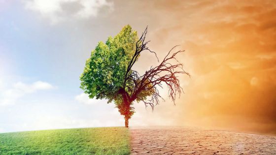 Changement climatique : l’urgent appel à l’action