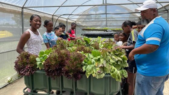 Encadrement par SAFIRE - Enfants défavorisés : de la rue… à l’aquaponie 