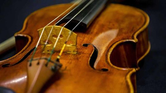 Japon : une femme arrêtée pour avoir détruit 54 violons de son ex-mari