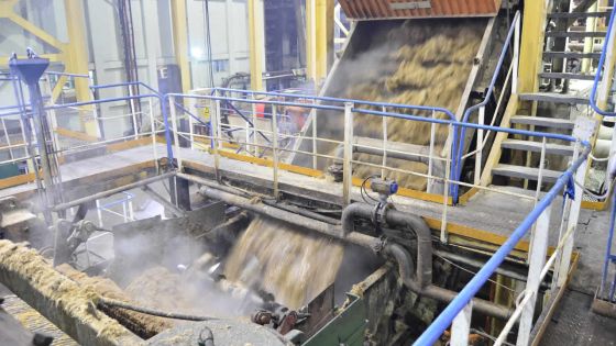 Énergie - Alteo : projet de centrale thermique de Rs 8 milliards