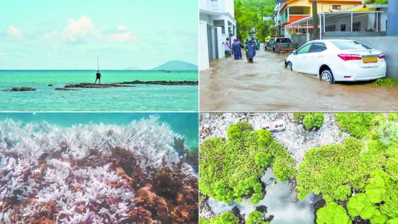 Les médias mauriciens au cœur de la résilience climatique