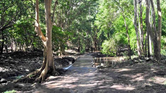 Eau : certaines rivières pourraient s’assécher 