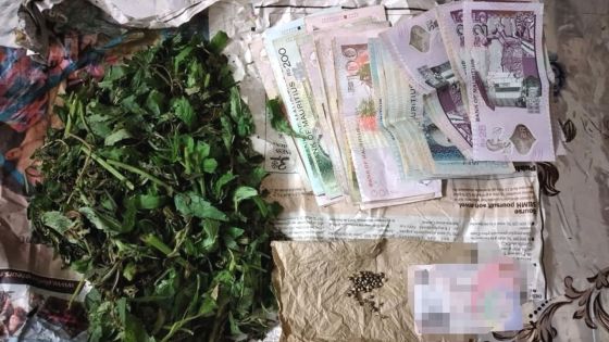 Saisies de drogues dans divers endroits du pays