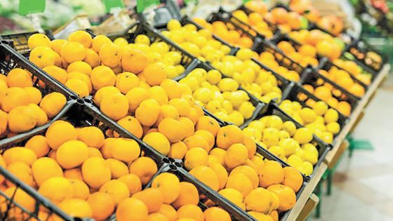 Importations en provenance d’Égypte : le retard des bateaux impacte la qualité des fruits