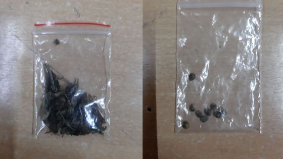 Un policier affecté à l’aéroport arrêté avec du gandia