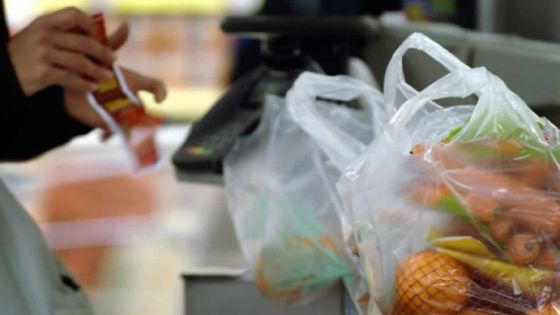 Sacs plastique : ce qui a vraiment changé