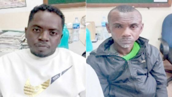 Dans le Sud : deux Malgaches pris la main dans le sac… de poulet 