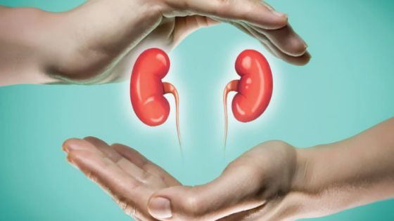 Santé - Transplantation rénale : vers la relance du service