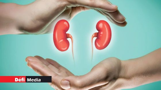 À l’hôpital Victoria, Candos : la transplantation rénale bientôt relancée 