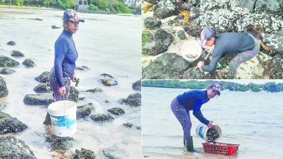 Alexandra Beeharry : pêcheuse d’huîtres et mère courage