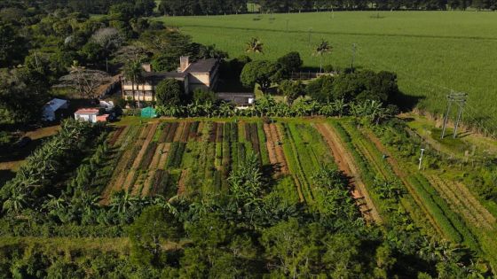 [Ecosphère] MCB Agro-Ecological Farm : Laboratoire d’un Futur Fertile