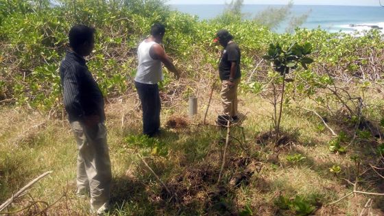 Pas géométriques : 150 arpents de plages récupérés