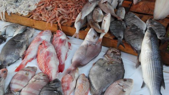 Statistiques : ce que le  pays a produit au cours des six premiers mois de l’année