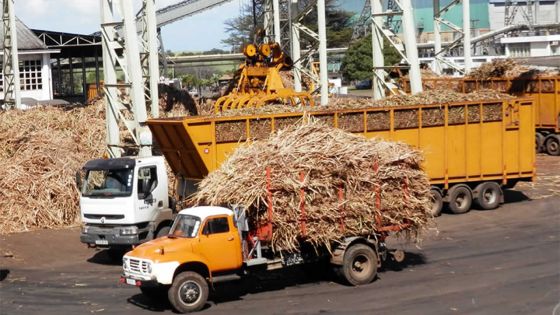 Fin des quotas - Sucre mauricien : un avenir amer 